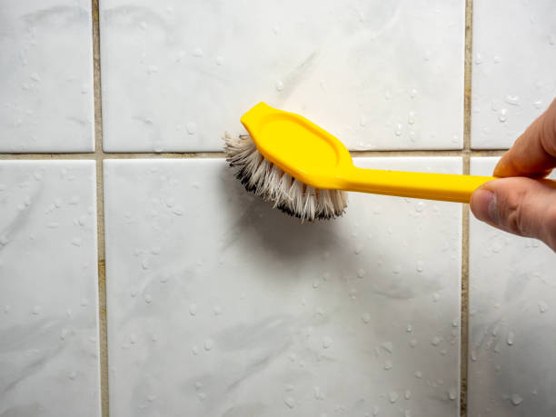 Best Fast Mold Removal  in Moores Mill, AL