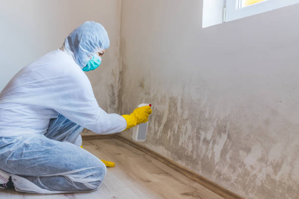 Best Mold Removal Process  in Moores Mill, AL