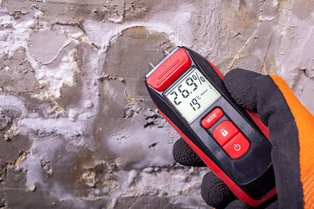 Best Professional Mold Removal  in Moores Mill, AL