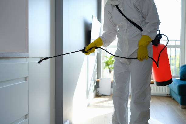 Office Mold Removal Services in Moores Mill, AL
