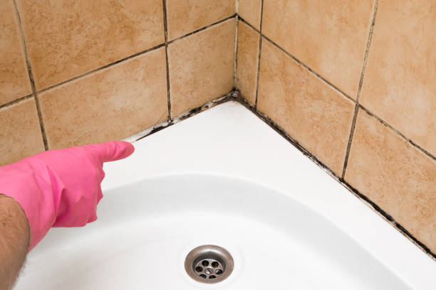 Best Affordable Mold Removal  in Moores Mill, AL